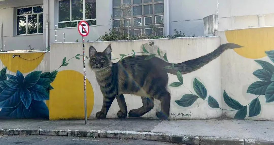 15.jpg 15.jpg